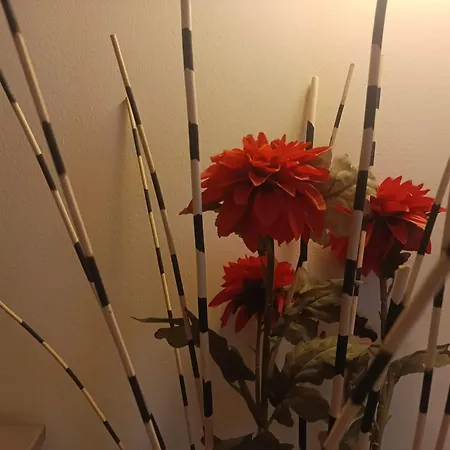 - Comfort Garruba Apartamento